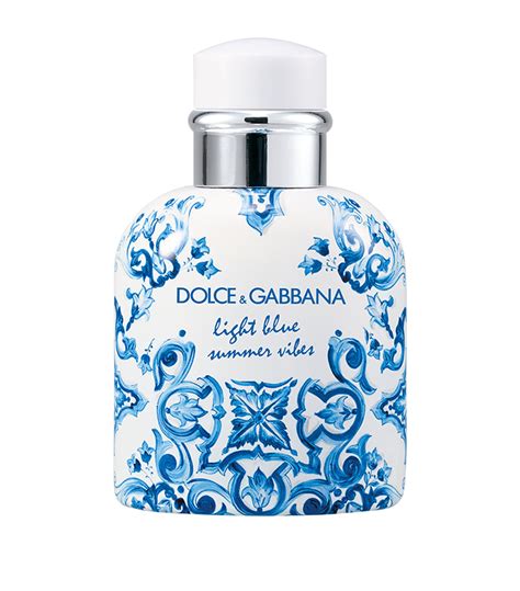 dolce gabbana donsjack heren|dolce and gabbana light blue.